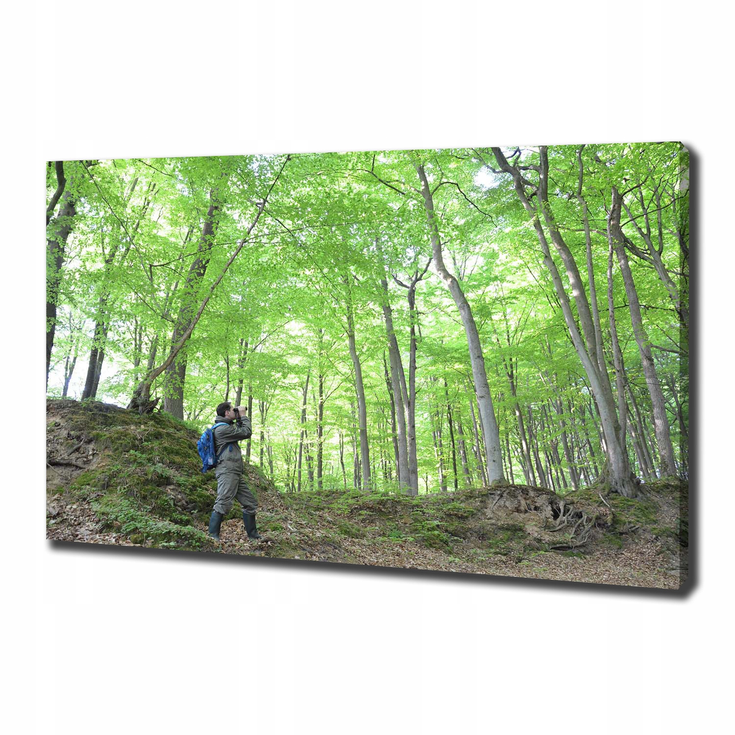 

Foto obraz na płótnie Ornitolog w lesie 100x70 cm
