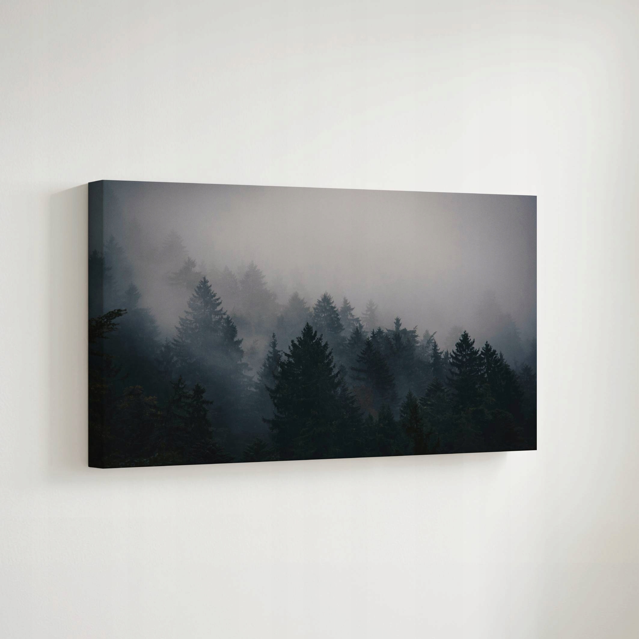 Obraz na plátně Les v mlze, moderní dekorace na zeď, 70x50 cm