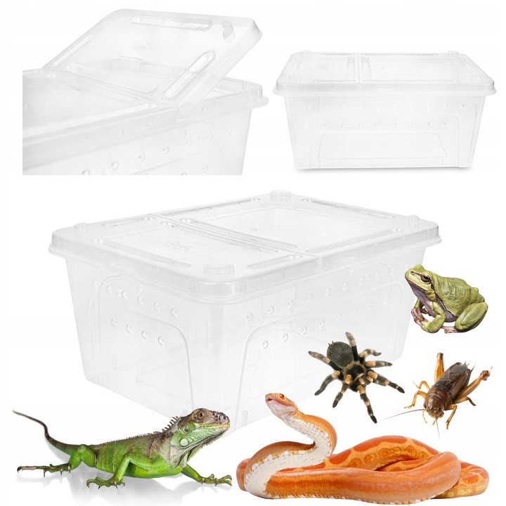Levně Chovná Nádoba Breeding Box Terárium Chov Plazů Obojživelníci Hmyz Pavouci