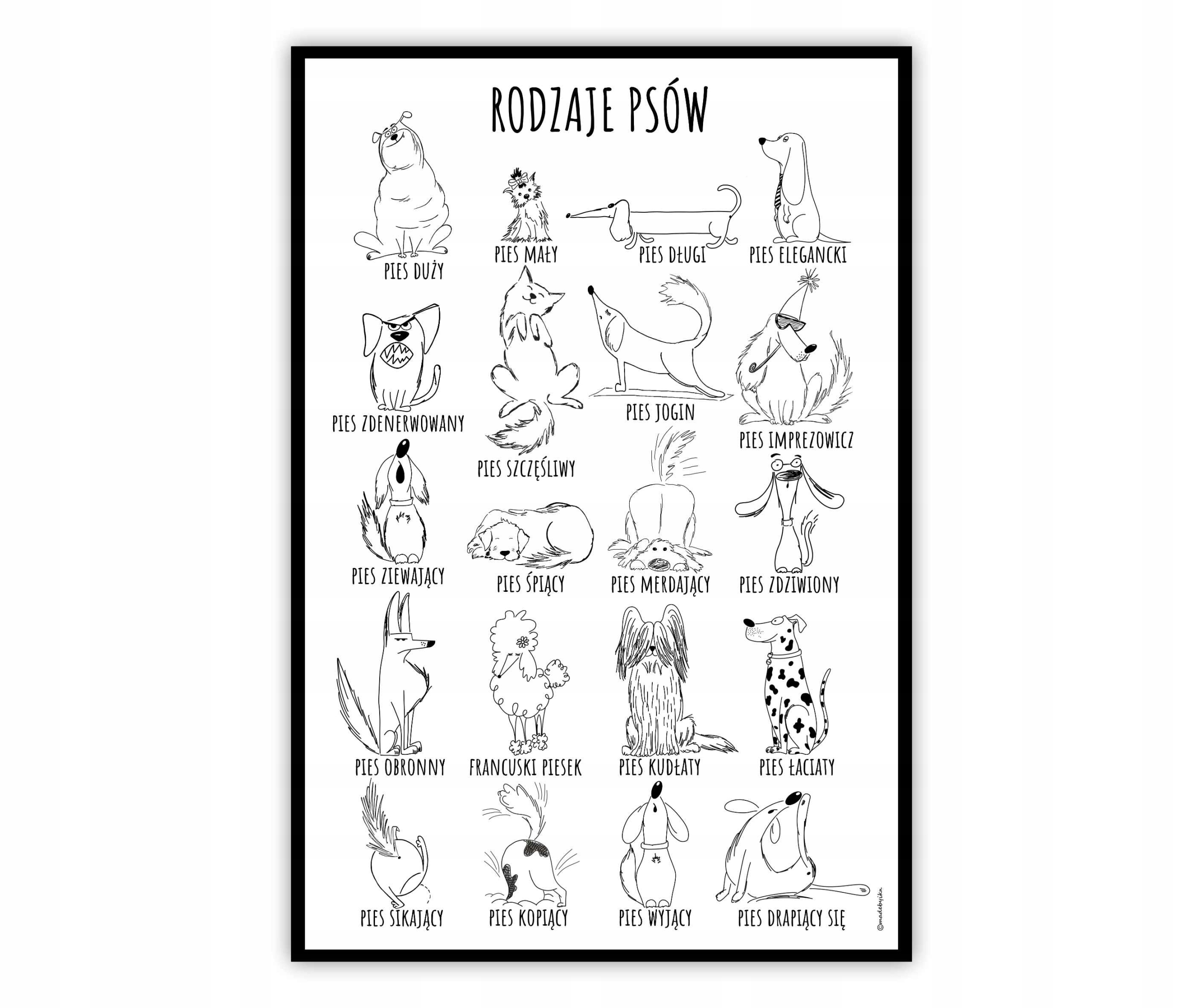 

Grafika plakat z psami Rodzaje Psów A3 29,7x42cm