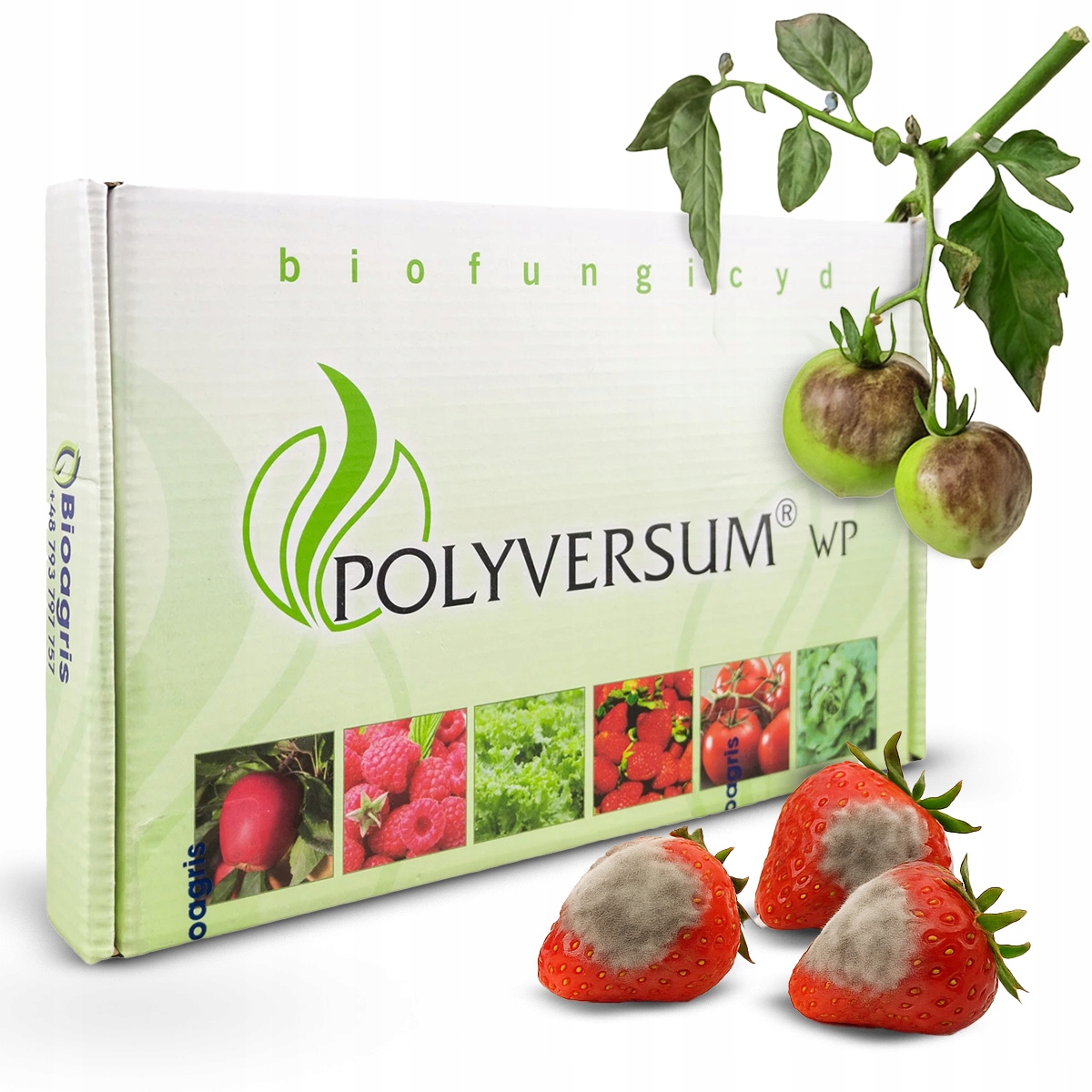 Polyversum Wp 50G Naturalny Biofungicyd Na Szarą Pleśń Fytoftorozę