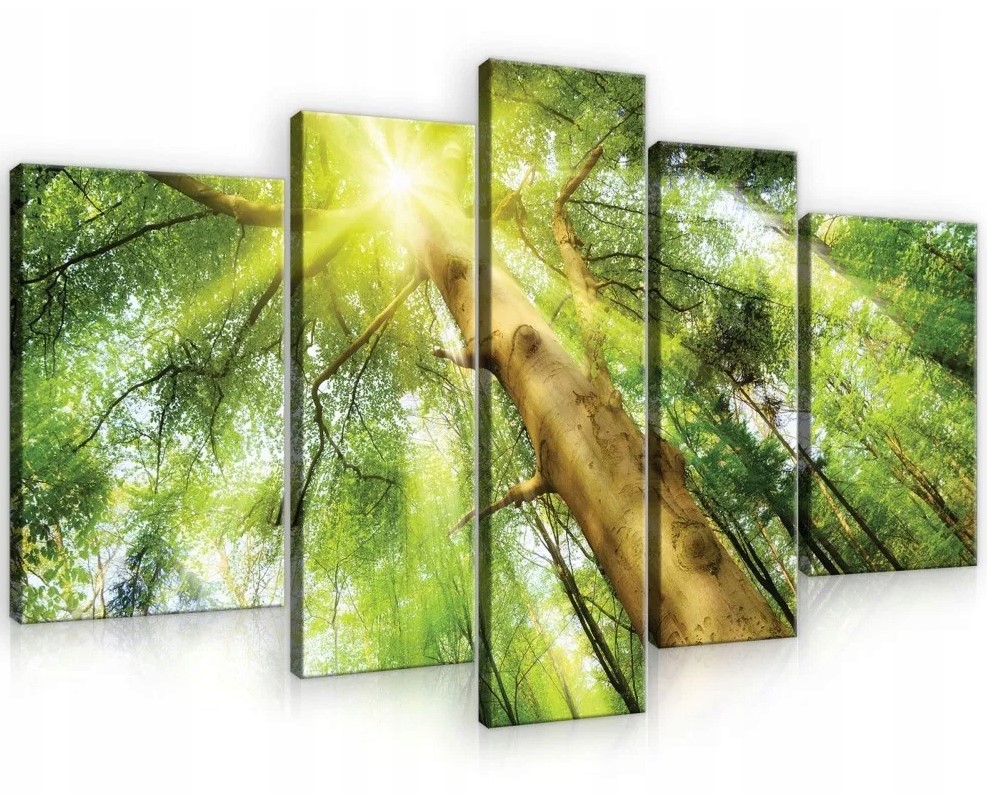 Obraz 170x100 Slnečný les lúče zelená príroda sviežosť optimizmus