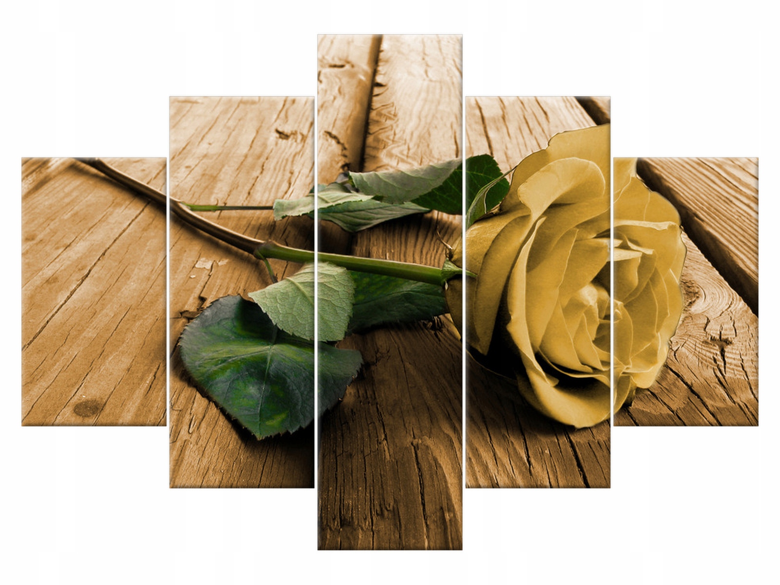 

Obraz Tryptyk Ciekawa róża 150x105 Kwiaty 1809A_5H