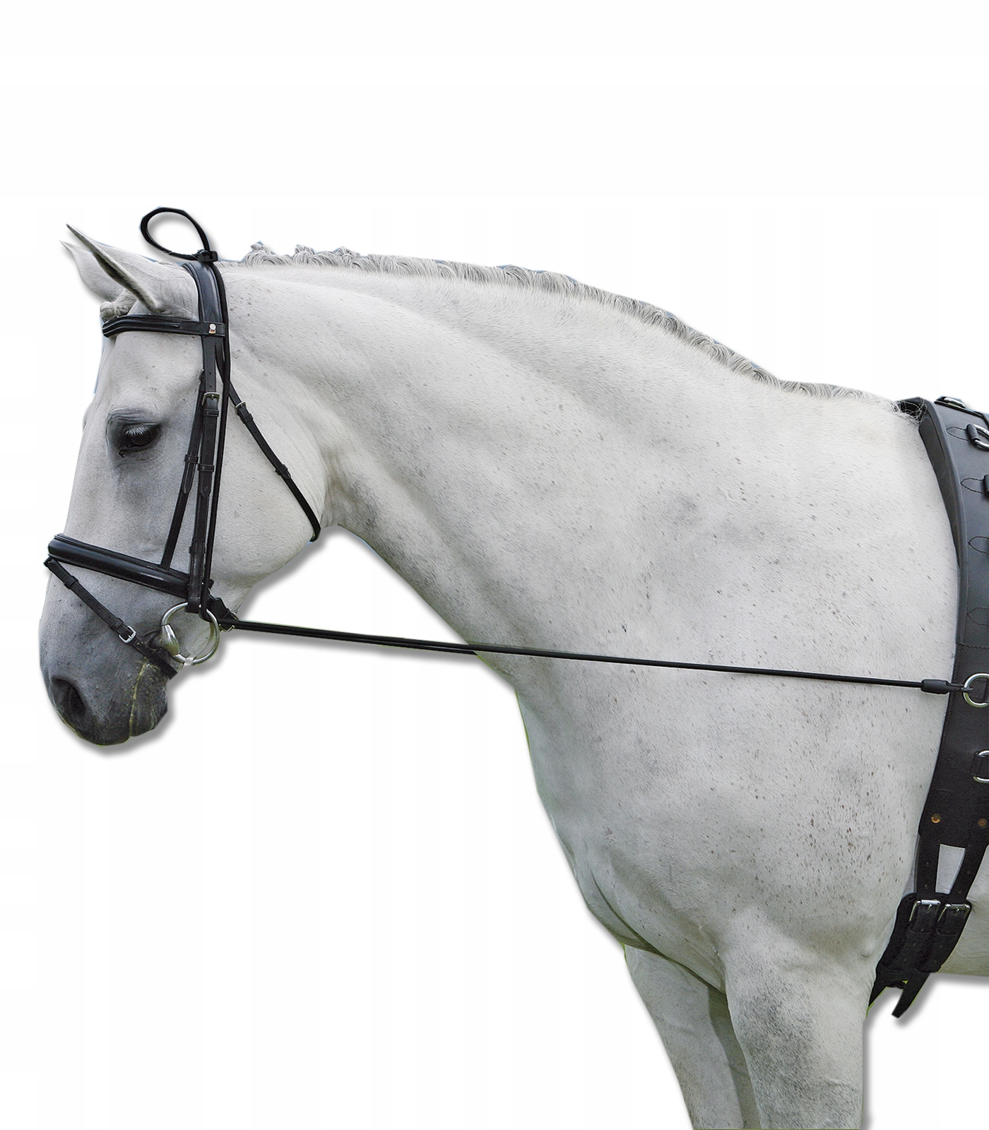 Czambon gumowy black Waldhausen