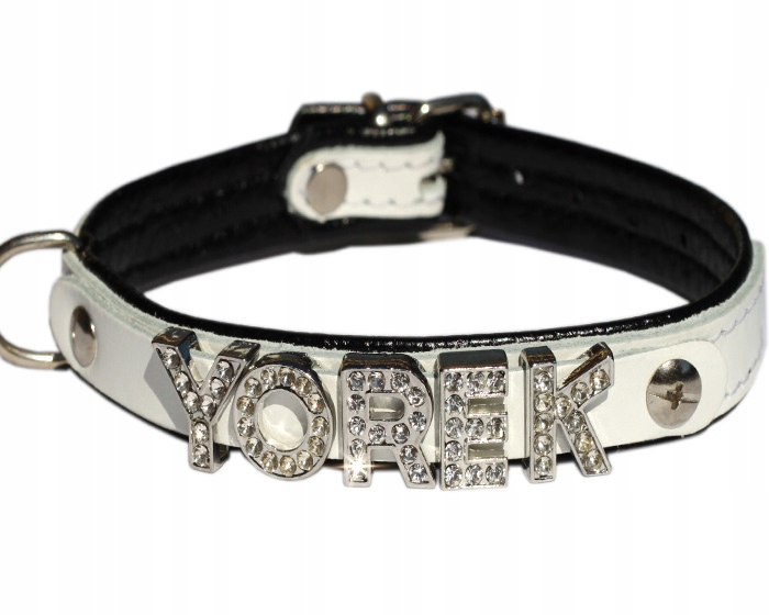 Levně Obojek pro malého psa štěněte s jménem 30 cm