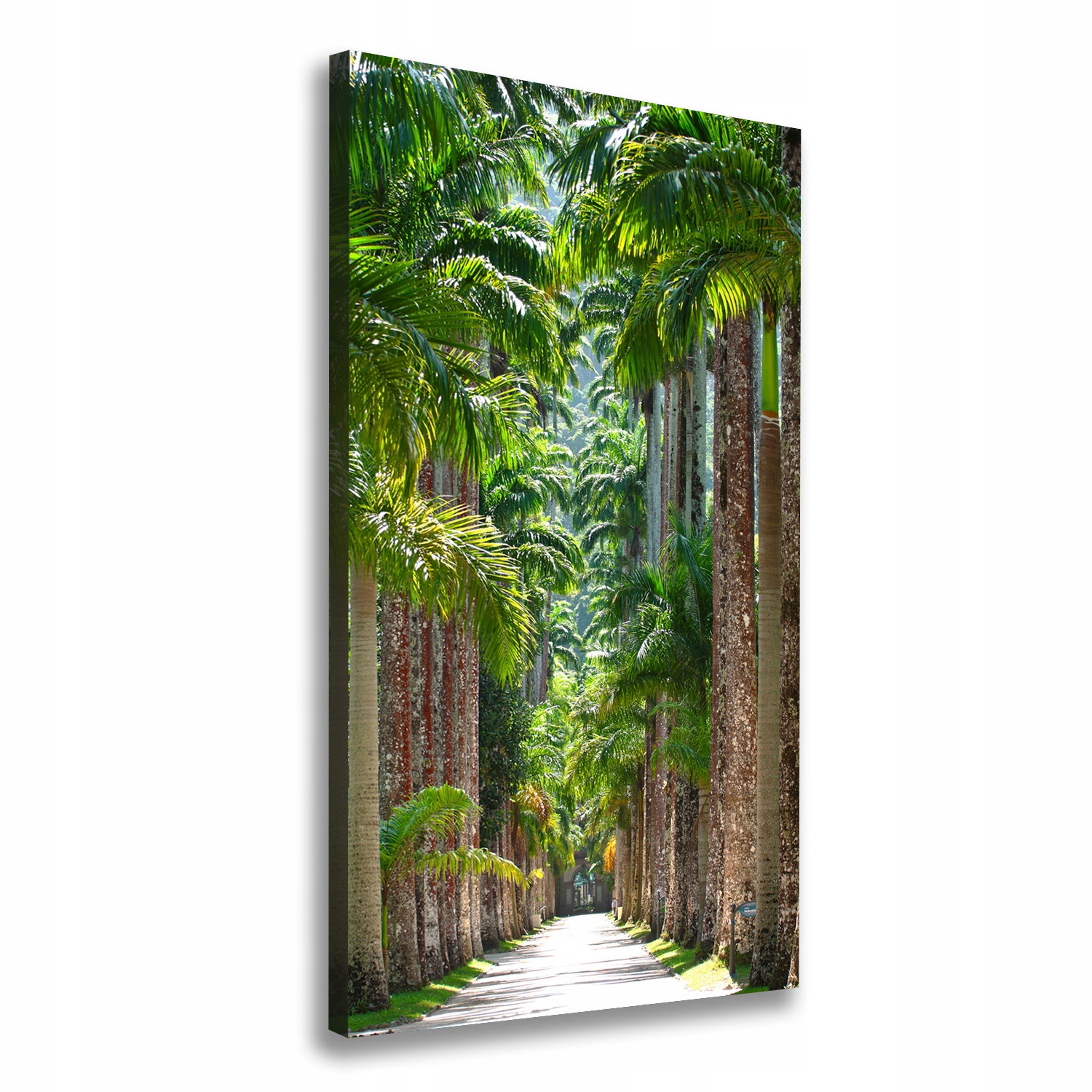 

Foto-obraz zdjęcie na płótnie Palmy 70x140 cm