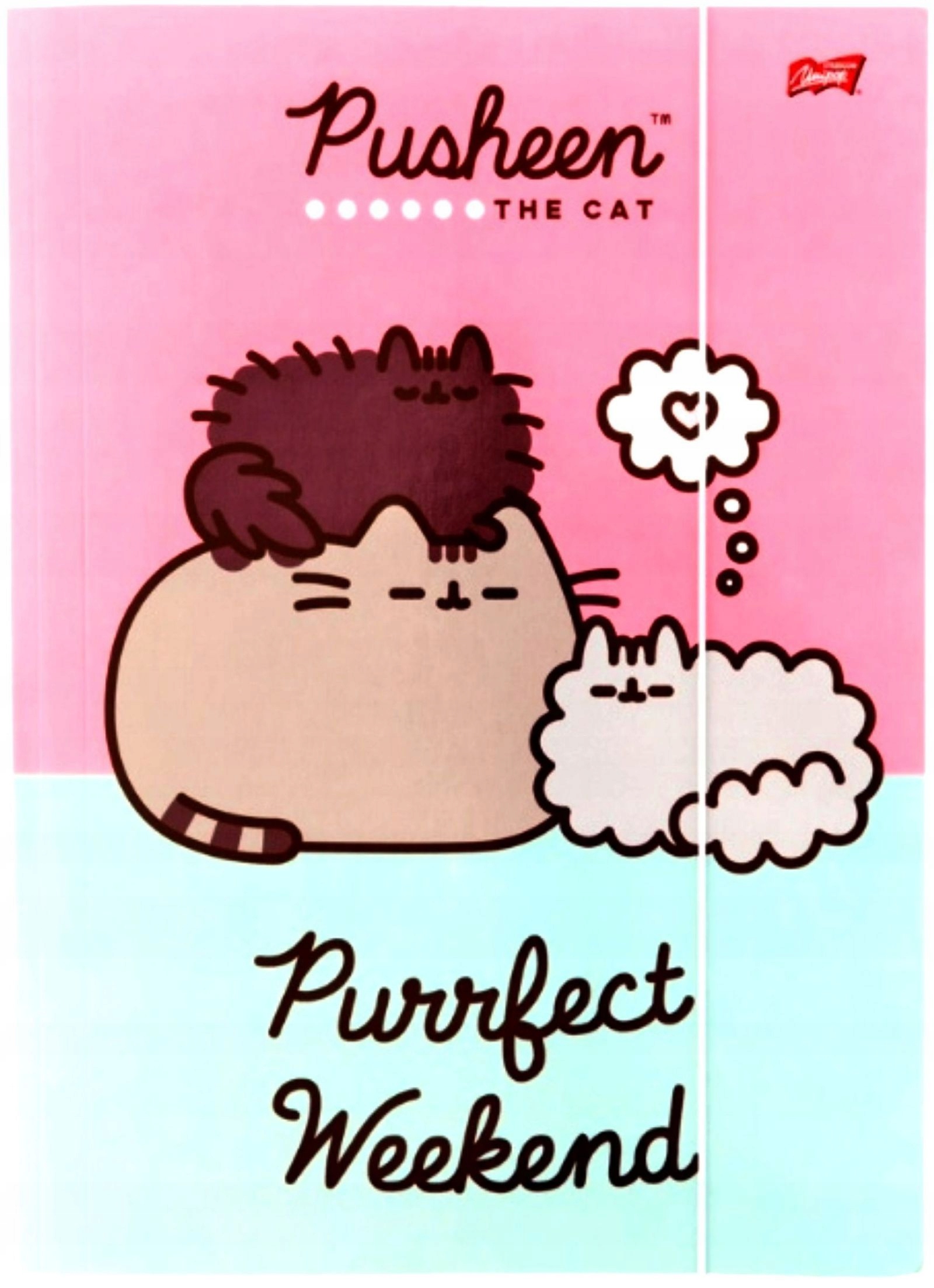 TECZKA Z GUMKĄ A4 PUSHEEN