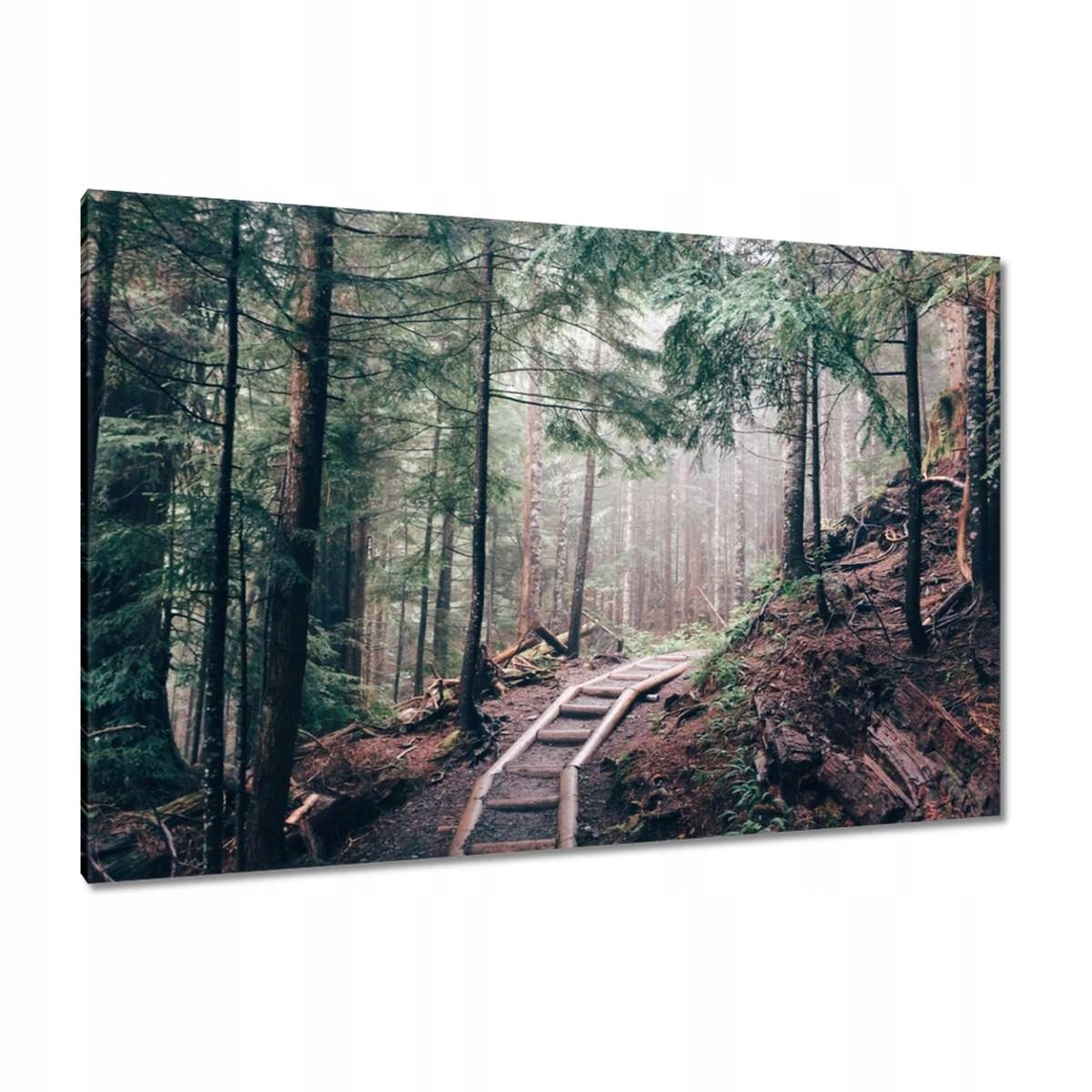 Obrazy 120x80 Lesní cesta