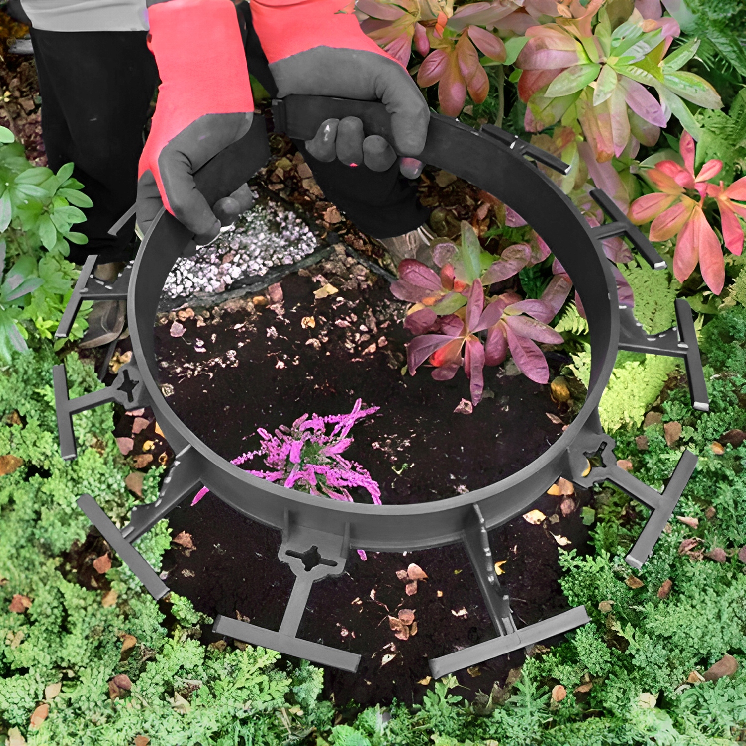 Obrzeże trawnikowe 5,8 cm ogrodowe 50m+150 kotew plastikowe border Kolor czarny