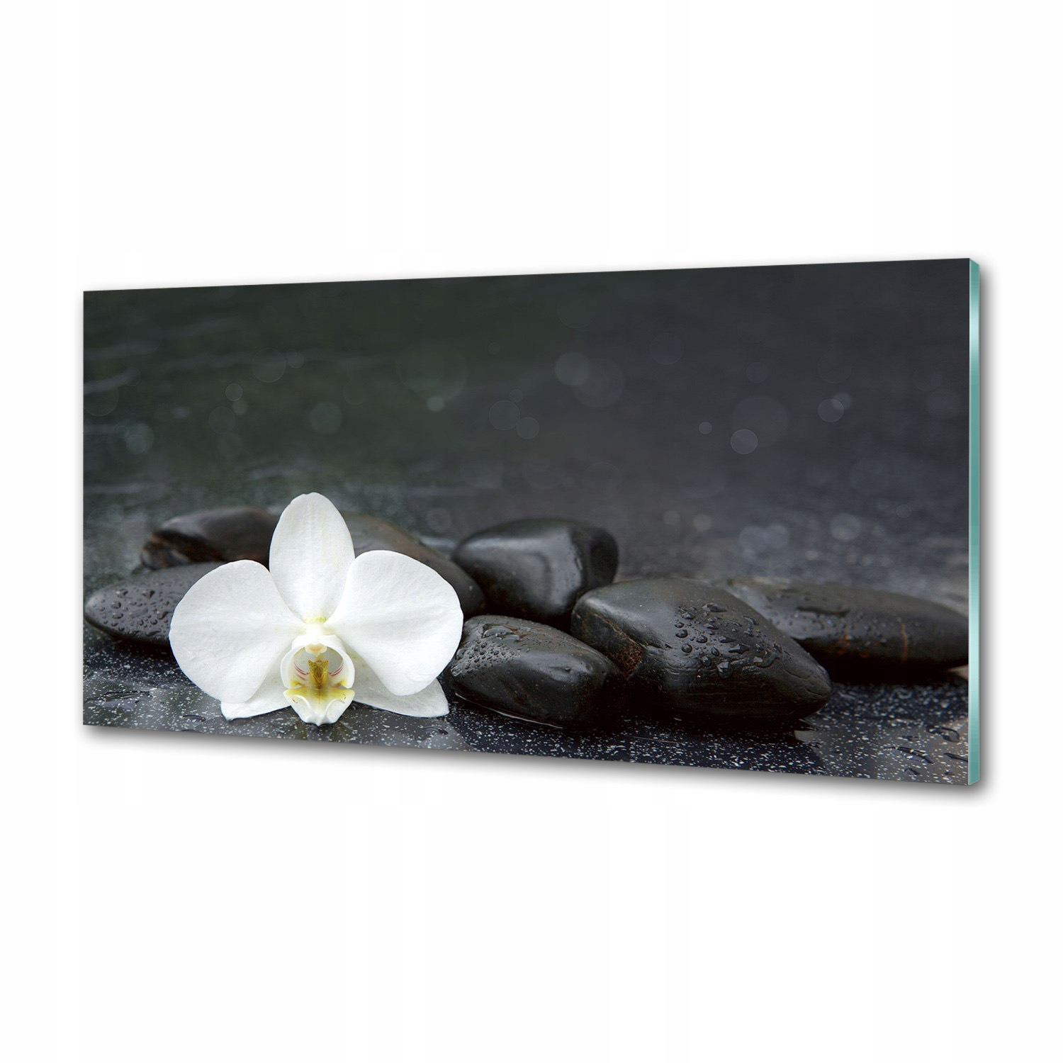 Panel medzi nábytkom v kuchyni Orchidea 100x50 Lepidlo