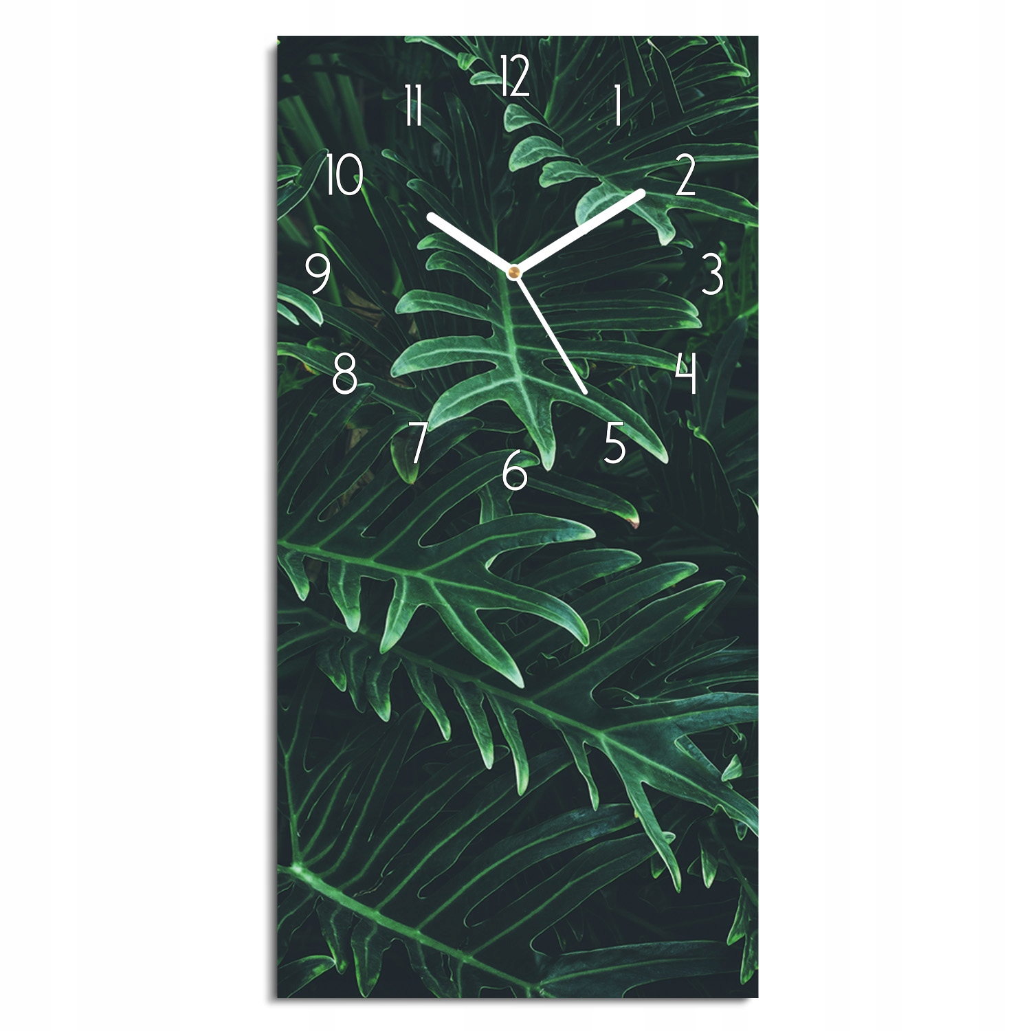 závěsné hodiny 30x60 tropické listy