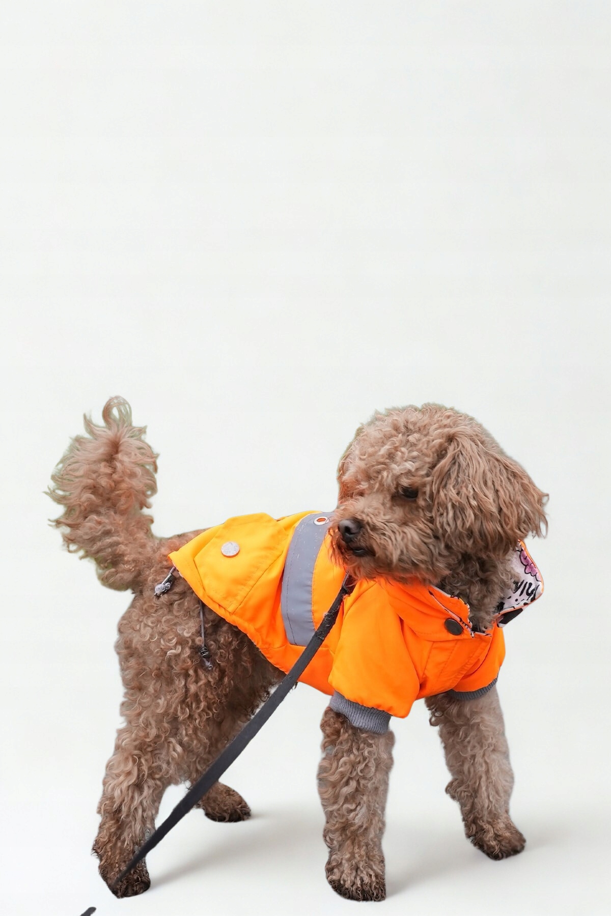Levně Zateplená nepromokavá bunda pro malého psa S-2XL, oranžová