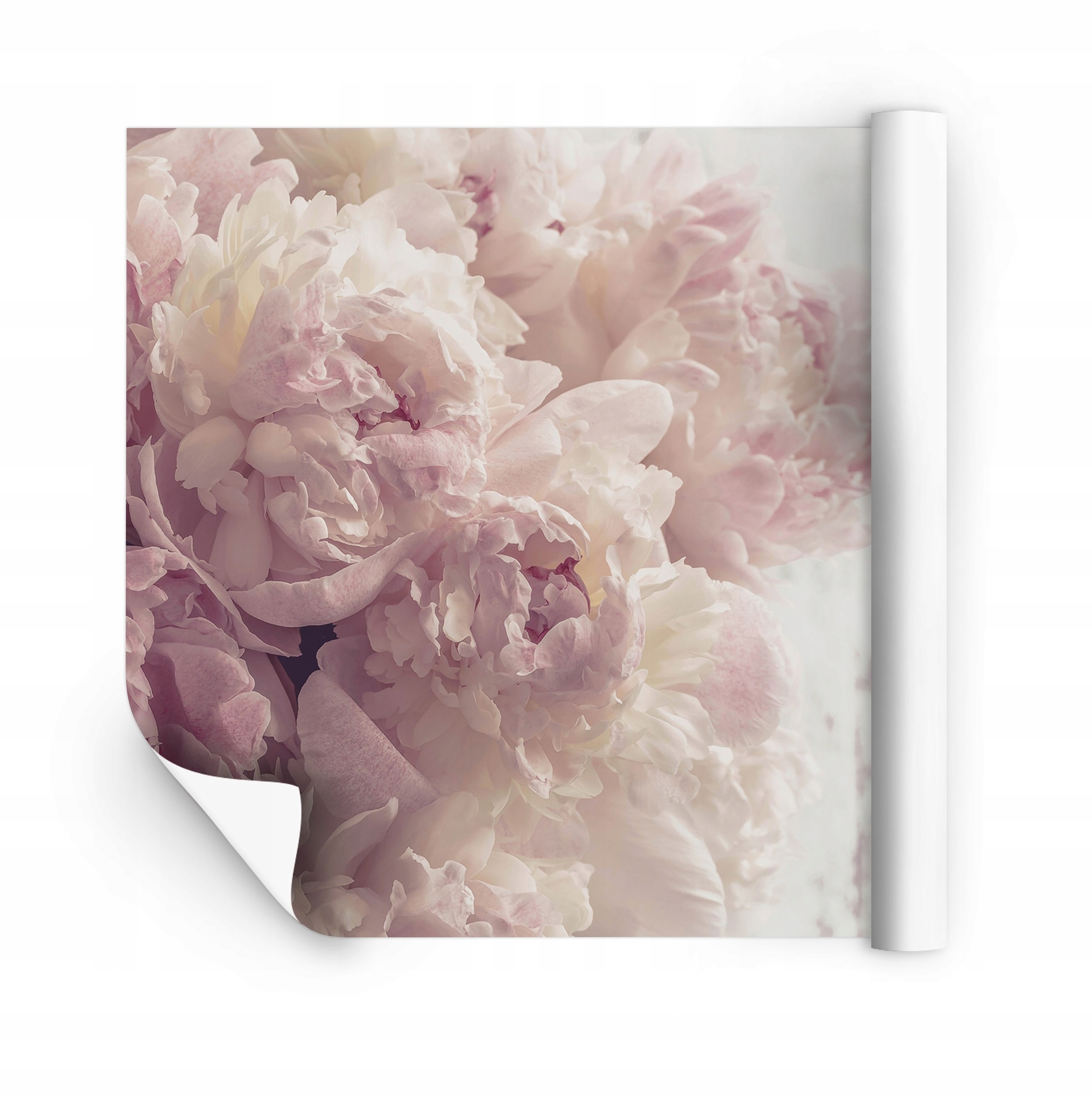 Fototapeta Květiny Ložnice Obývací Pokoj Pivoňky 416x254