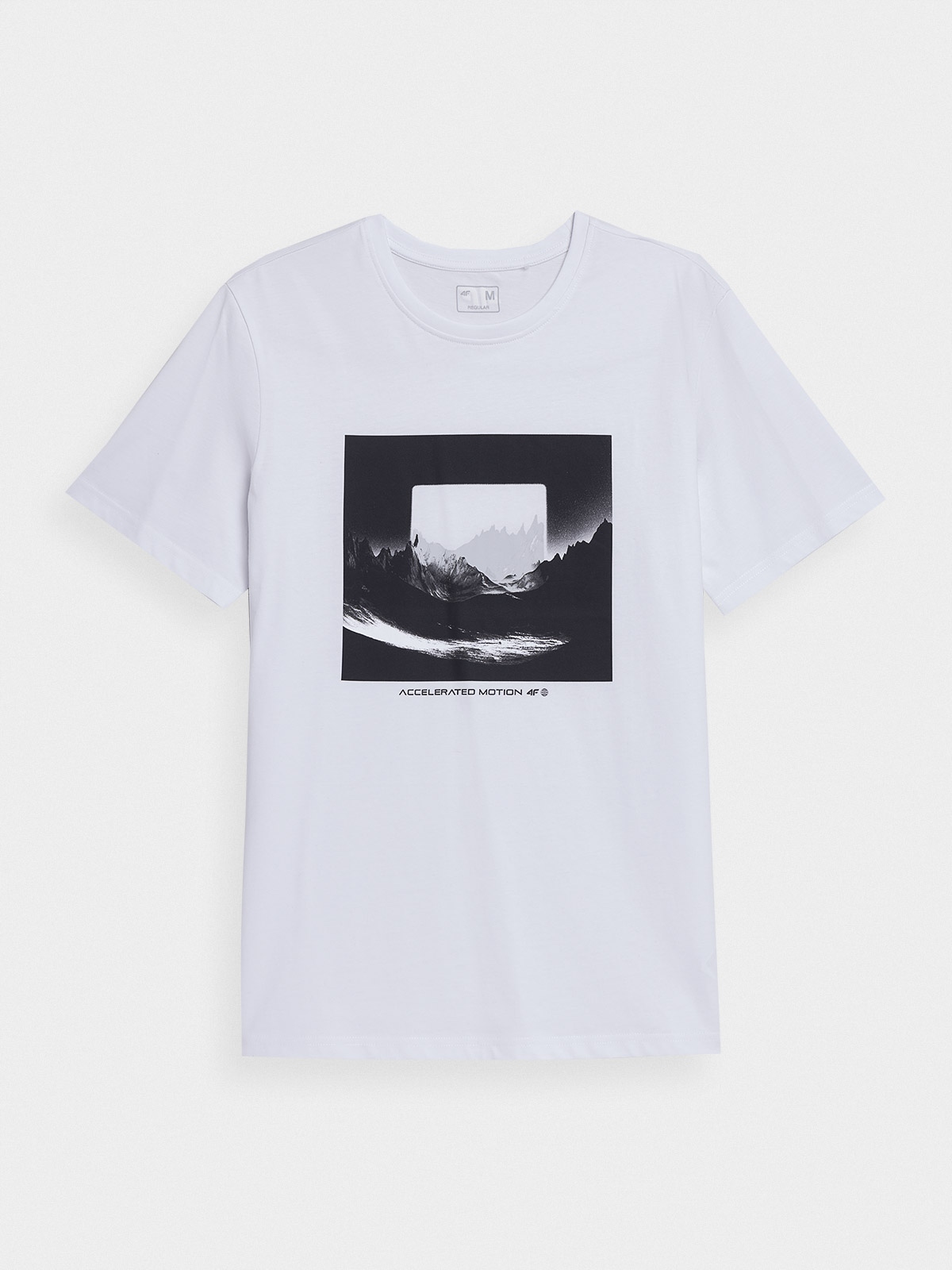 

Koszulka T- shirt 4F 4FAW22TTSHM0944-10S-M