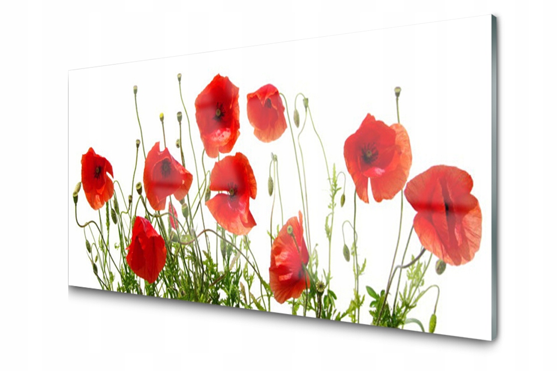 

Panel szklany Płytka Maki Kwiaty 120x60 + Klej