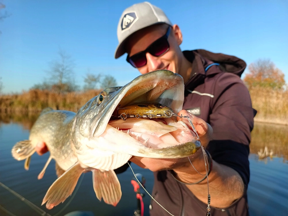 Guma Mikado Mft Roach 12cm Fruit Roach Szczupaki