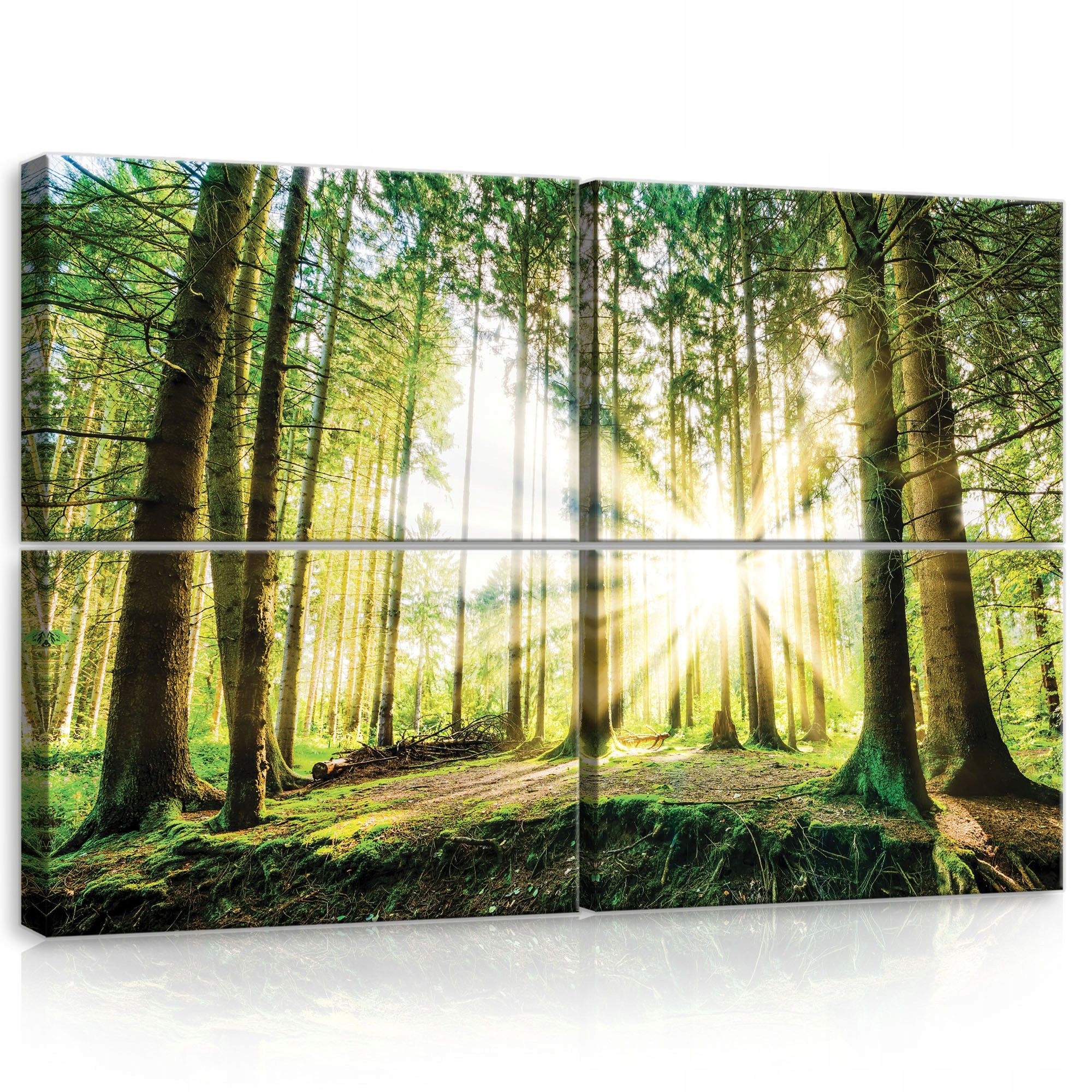 Obraz 120x80 Les slnečné lúče úsvit zelená príroda pokoj harmónia