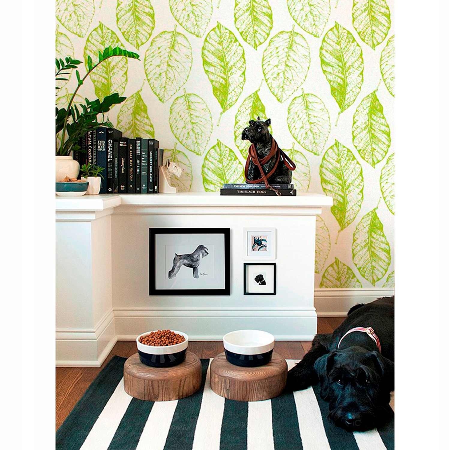 

Fototapeta flizelina Liście limonki 254x184 + klej