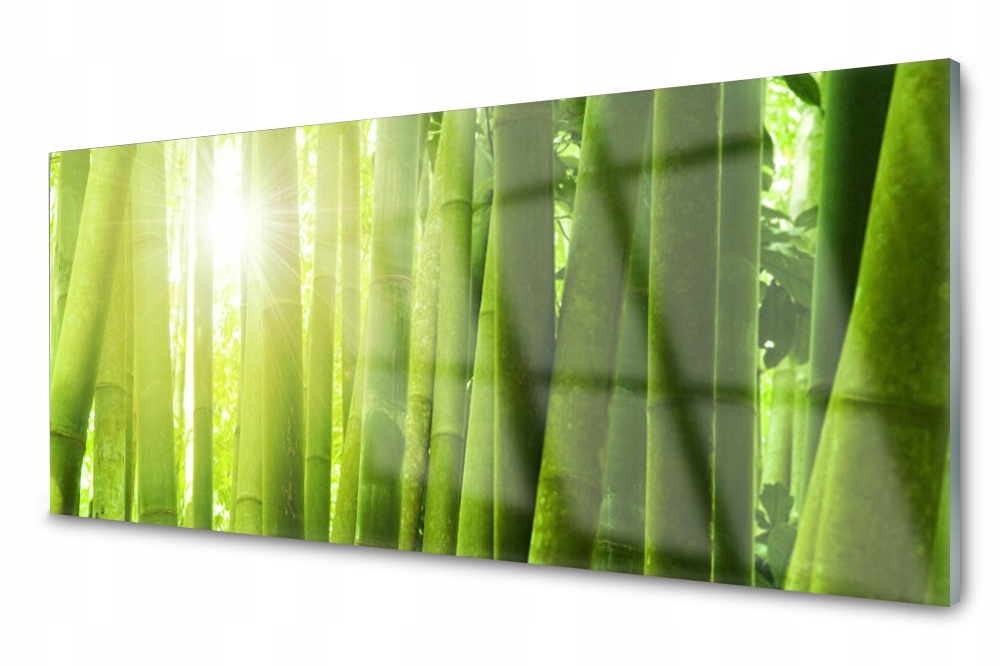 

Panel szklany do kuchni Bambus Roślina 125x50
