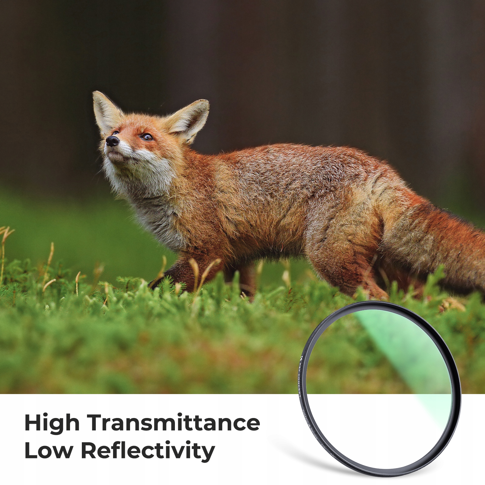 Filtr UV 58mm HD MC Green PRO A Slim K&F EAN (GTIN) 6096319427489