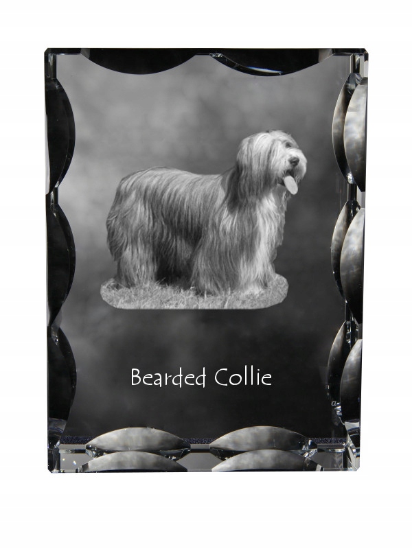 Bearded Collie fotografia psa v ozdobnom kryštáli, suvenír, dekorácia domu