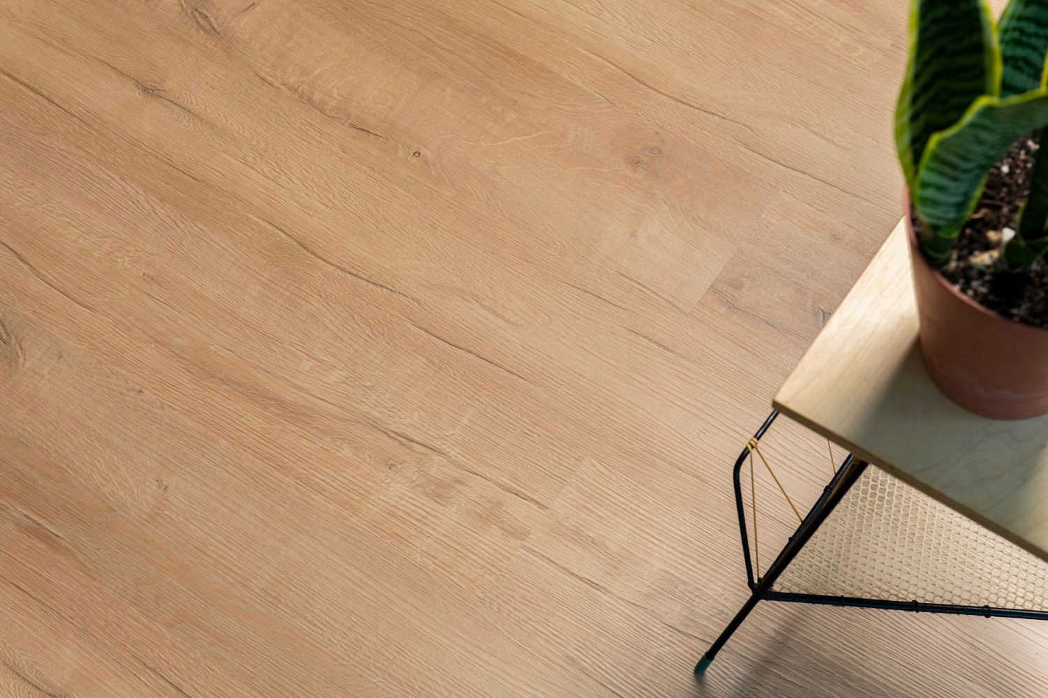 Dąb Baltimore - panele winylowe PRÓBKA Kolor brązowy