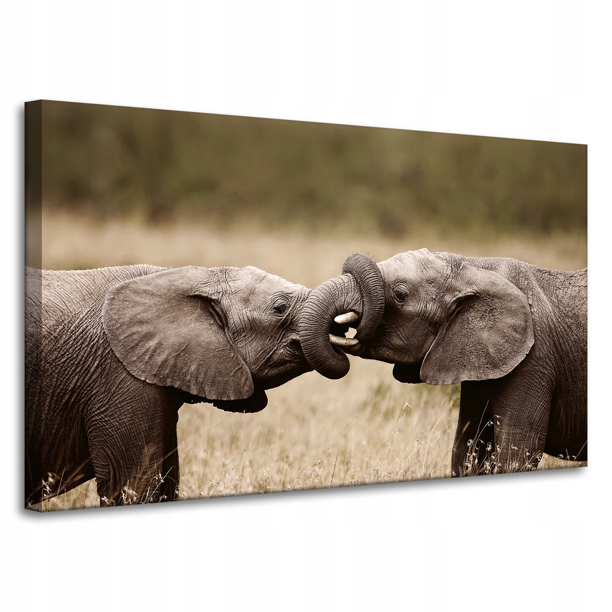 Obraz na plátně Setkání slonů Afrika Příroda 100x60 cm Ideální jako dárek