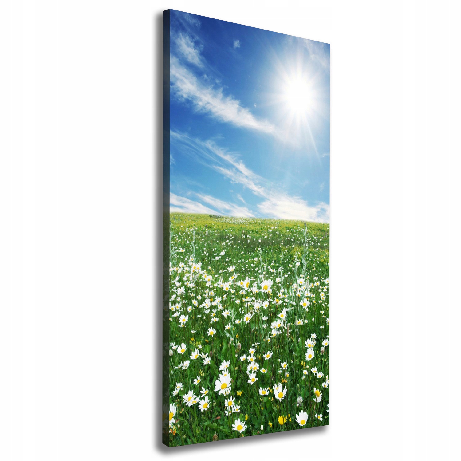 

Foto obraz drukowany na płótnie Łąka 50x125 cm