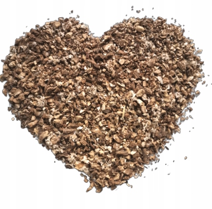 

Korzeń łopianu 100 g