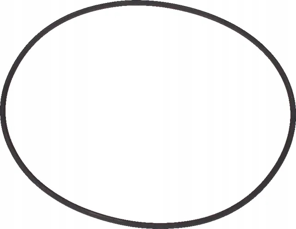 Pierścień uszczelniający o-ring