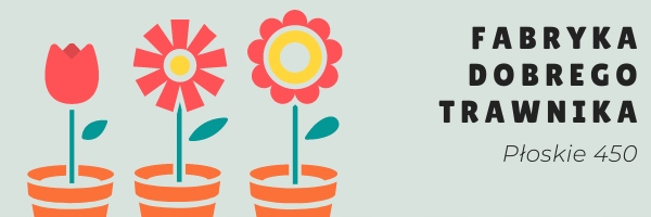 KOŁO NAPĘDOWE KOSIARKI CHIŃSKIE CASTORAMA, FIELDMA Typ inny