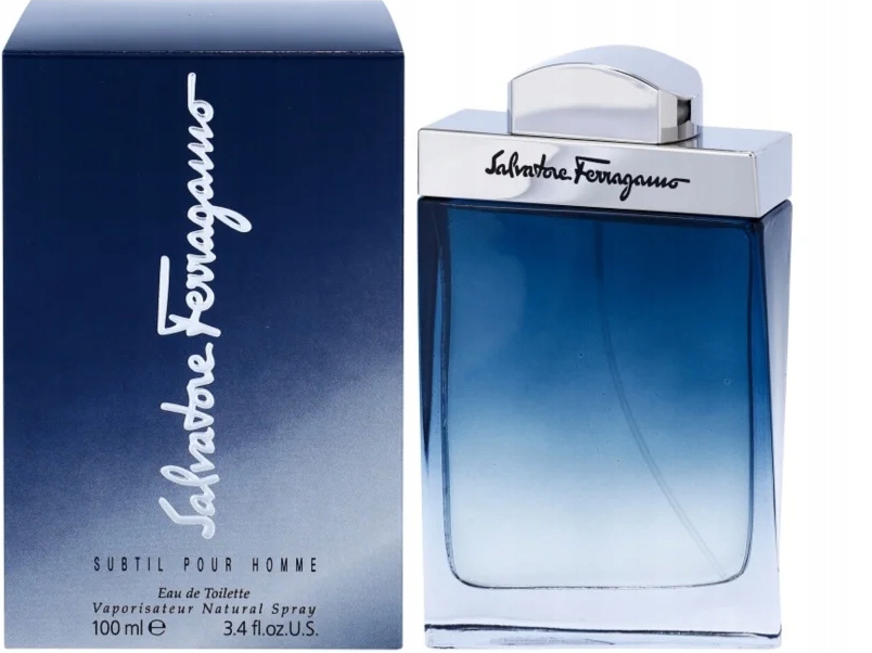 Salvatore Ferragamo Subtil Pour Homme toaletní voda 100 ml