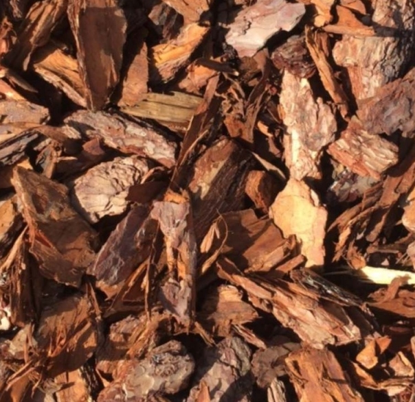 WOKAS KORA SOSNOWA 20-60mm 80L Rodzaj sosnowa