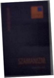 SZAMANIZM - Andrzej Szyjewski