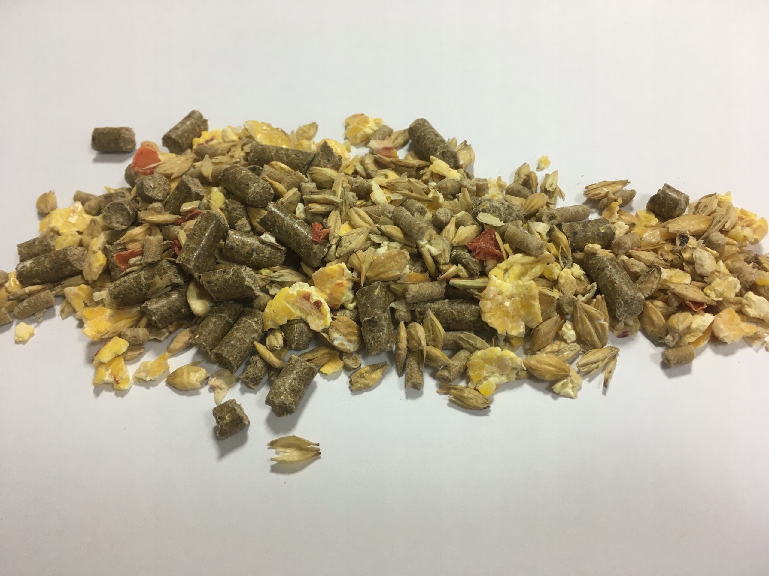 Pasza Musli dla koni bezowsowe 20 kg Rodzaj pasza