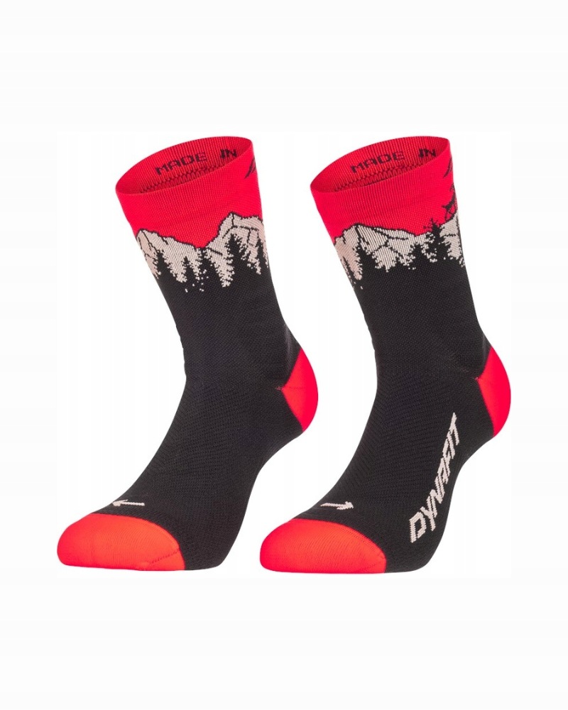 Dynafit Skarpety Traverse MID Sk