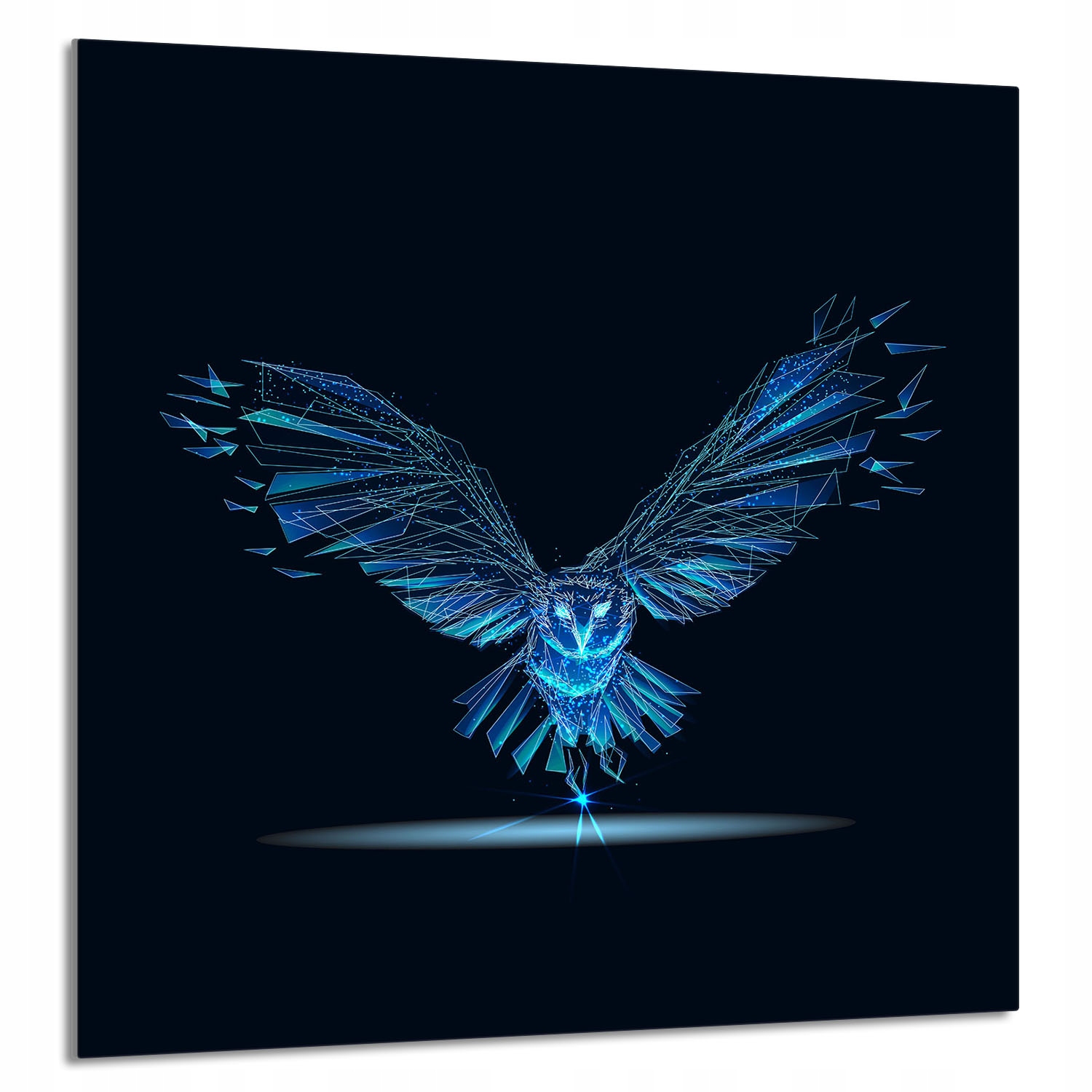 Skleněný Panel Do Kuchyně 60x65 Pták Tvrzené Sklo