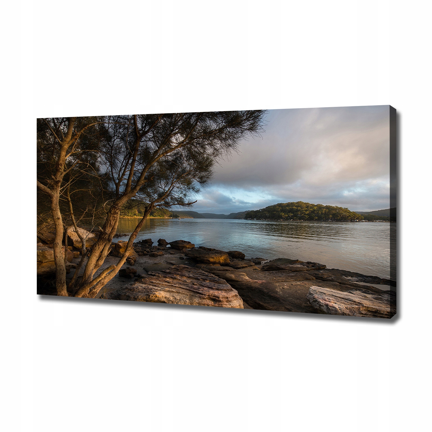

Foto obraz na płótnie Drzewo nad rzeką 120x60 cm