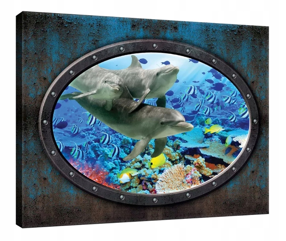 Obraz 80x60 Podmořský svět delfínů korálový útes mořský život oceán klid