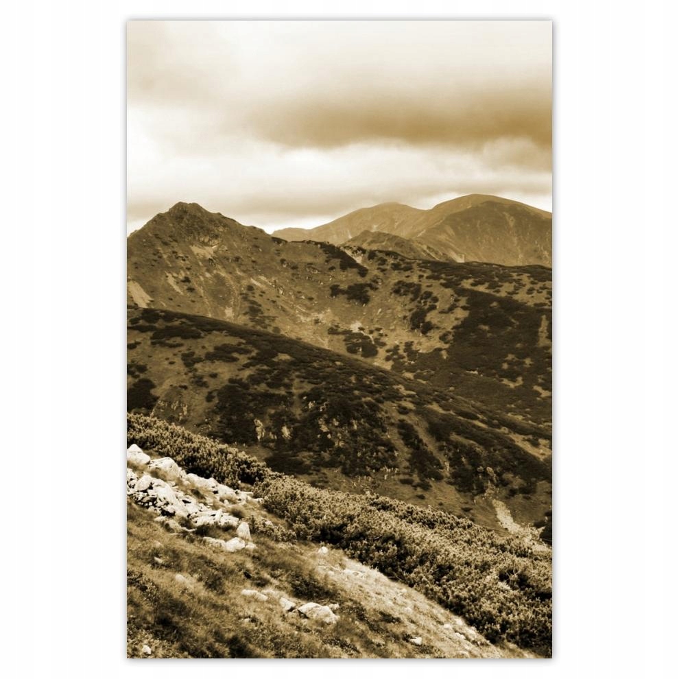 

Plakaty 40x60 Tatry Polskie góry Widok