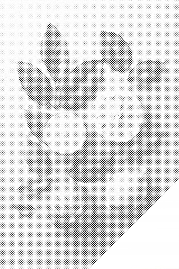 Tečkování Dotting Painting Citrony Jídlo Ovoce Máta Velký 80x120 cm