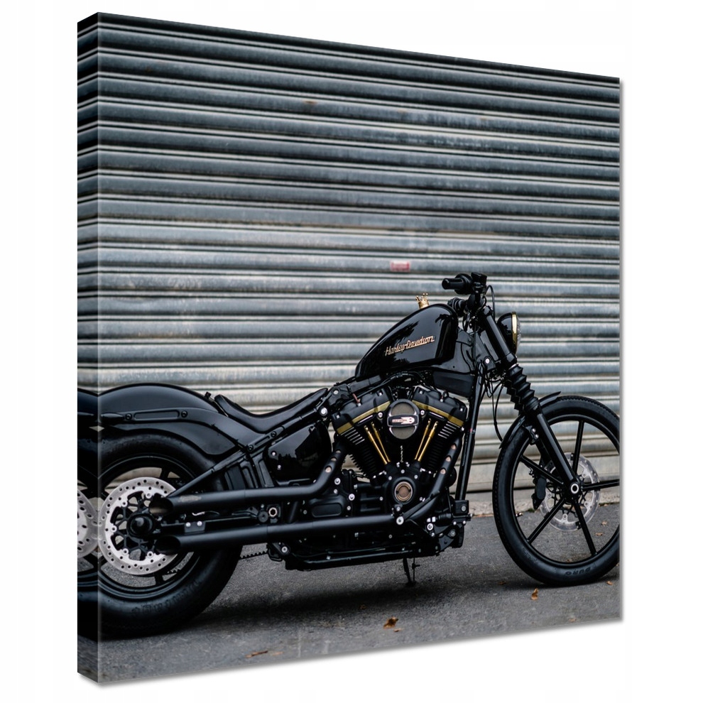 

Obrazy 80x80 Harley Davidson Motocykl