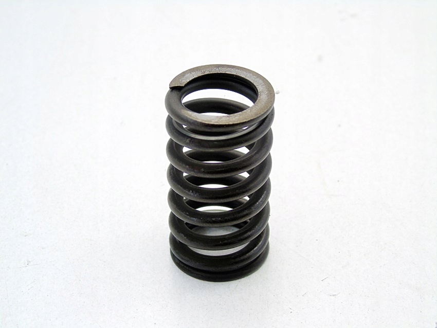 ПРУЖИНА КЛАПАНА ГОЛОВКИ 2.0 16V IDE LAGUNA 2 MEGANE 1 2 SCENIC ESPACE 4