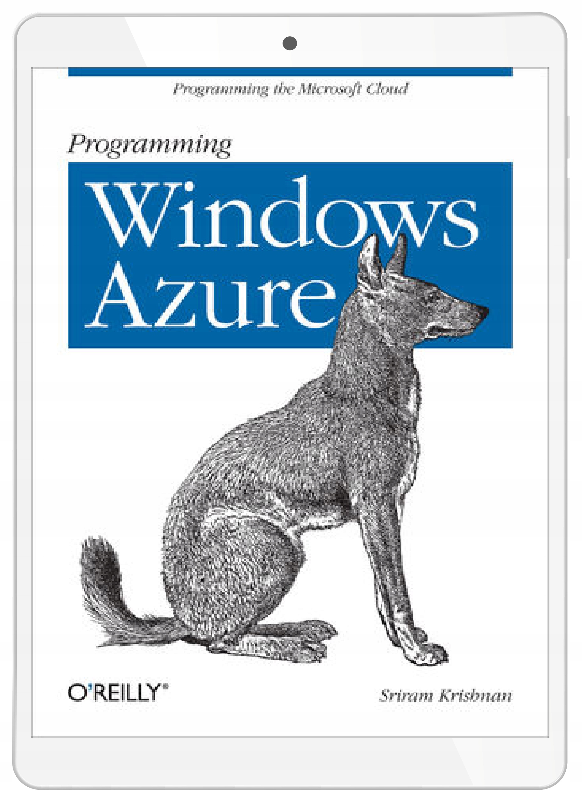 Programming Windows Azure. Programming the
