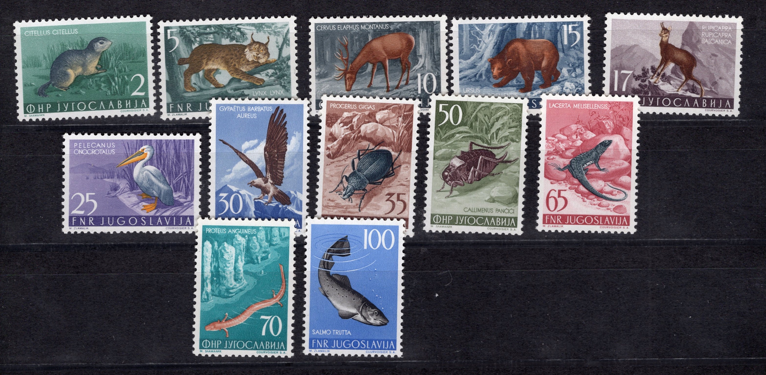 [KC-1 ] JUGOSŁAWIA 738 - 749 ** ZWIERZĘTA