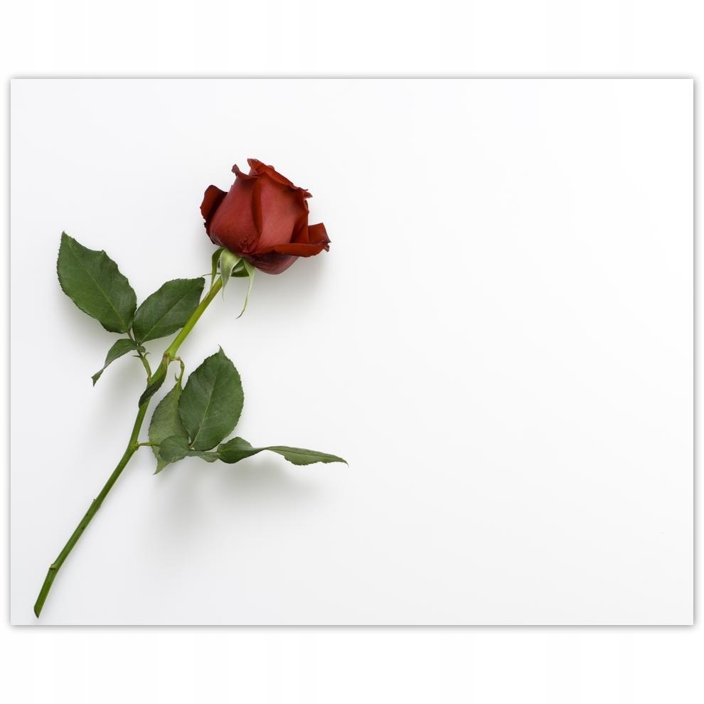 

Plakat 50x40 Dzień Kobiet Prezent Love