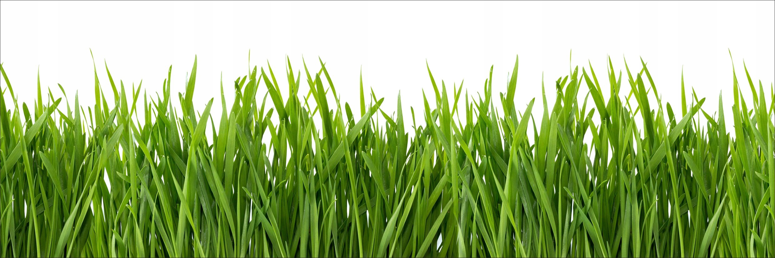 

Naklejki Do Kuchni Ściana trawa pole Laminat