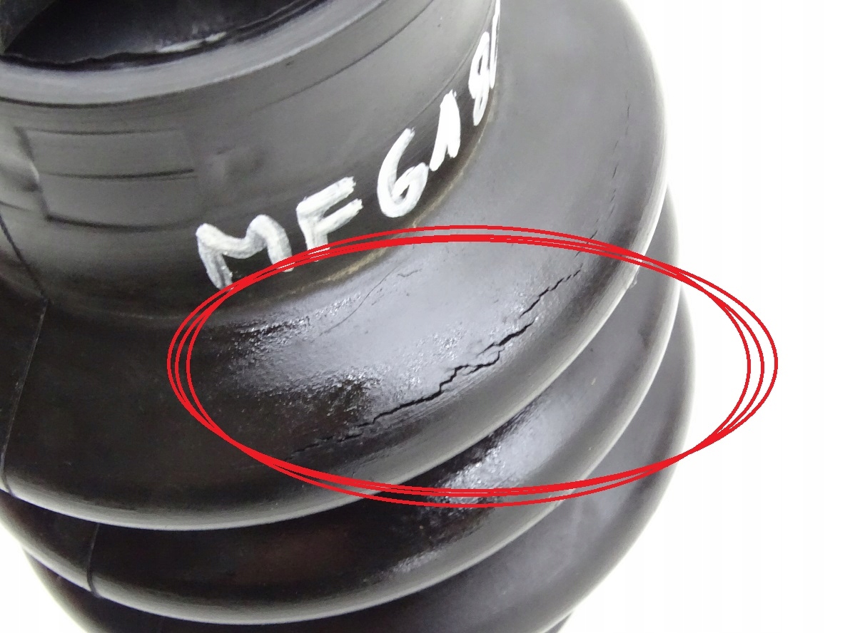 Fe50af52423885847c3c38943ab5