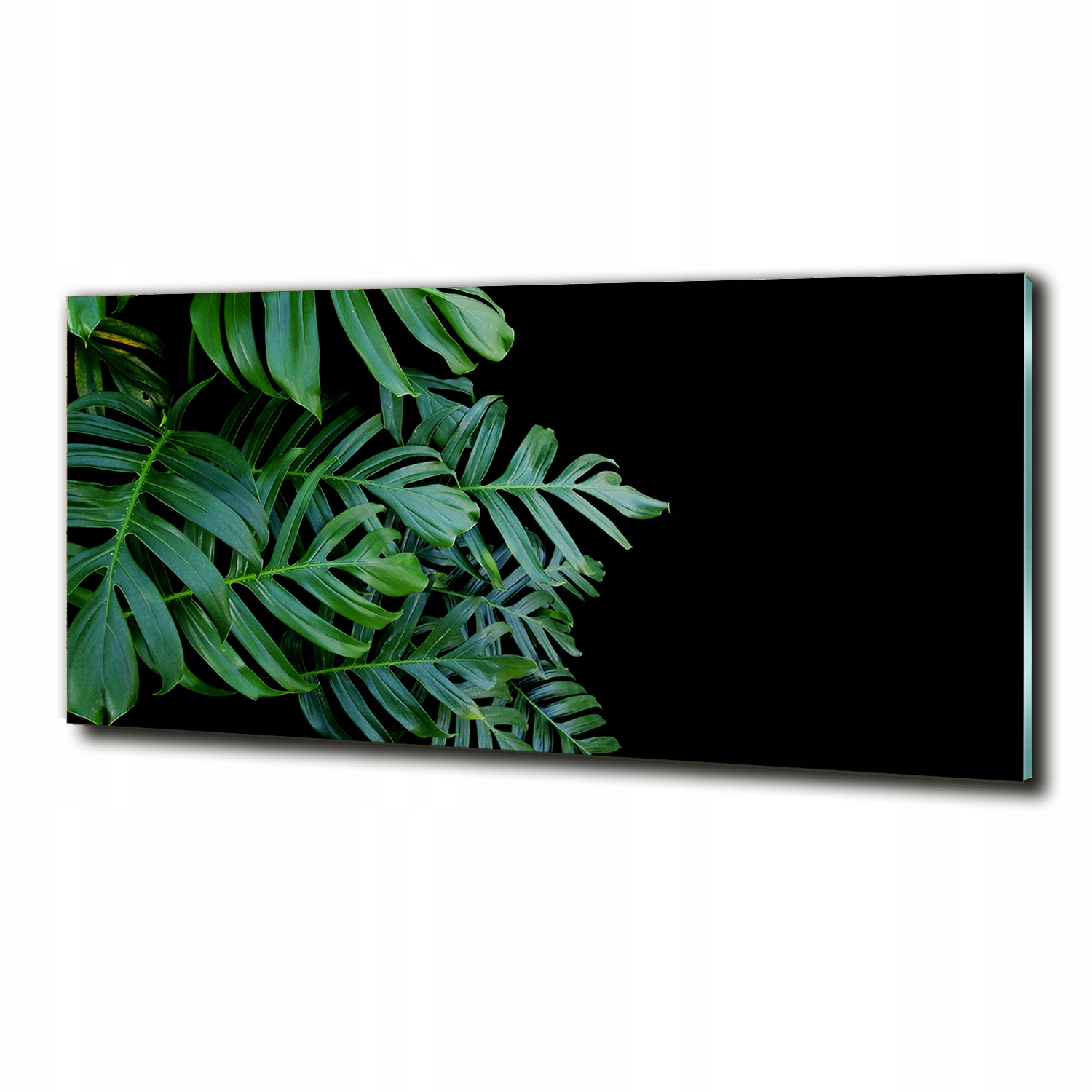 Foto-Tištěný velký obraz na skle Monstera 125x50