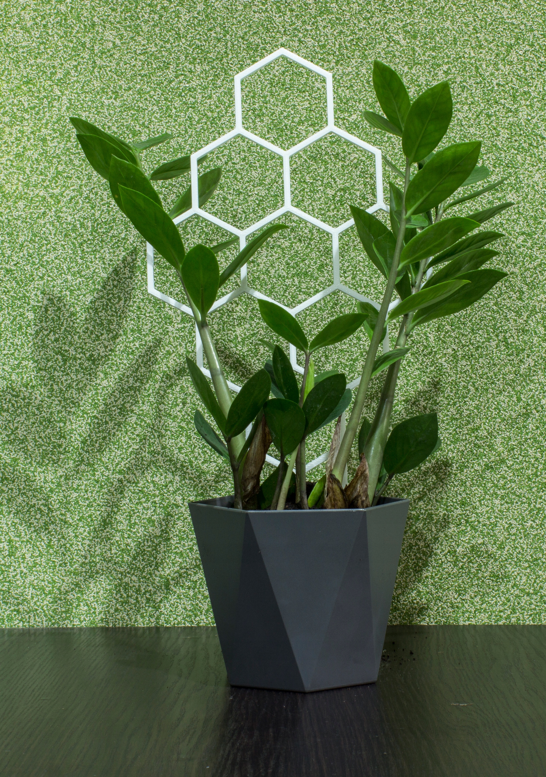 PODPÓRKA KWIATÓW ROŚLIN PERGOLA MIÓD 37cm Rodzaj drabinka